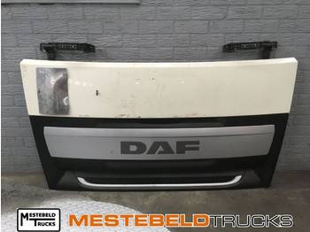 Kabina ir interjeras - Sunkvežimis DAF Grille XF 106 compleet: foto 1