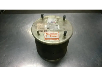 Rėmas/ Važiuoklė DAF