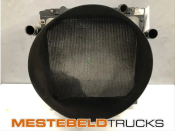 Aušinimo sistema DAF