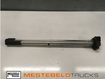 : nuotrauka antraštėje