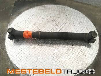 : nuotrauka antraštėje