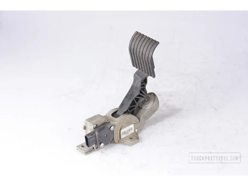 Prietaisų skydas DAF