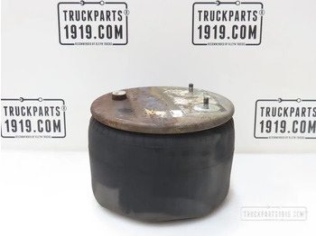 Pneumatinė pakaba DAF