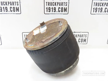 Pneumatinė pakaba DAF