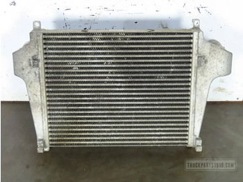 Radiatorius - Sunkvežimis DAF LF 55 Cooling System Interkoeler DAF LF: foto 2