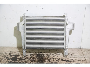 Radiatorius - Sunkvežimis DAF LF Cooling System Intercooler DAF LF: foto 2