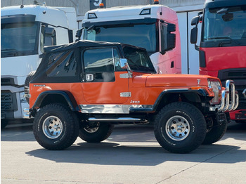Visureigis Jeep Wrangler  * V8 UMBAU * OLDTIMER * TOP *: foto 4