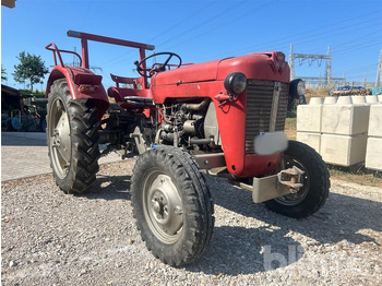 Traktorius MASSEY FERGUSON 1000 series