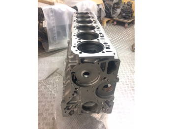 Karteris BASAMENTO MAN D2876LUE623 / D2876LOH20 / D2876LOH21: foto 3 Karteris BASAMENTO MAN D2876LUE623 / D2876LOH20 / D2876LOH21: foto 3