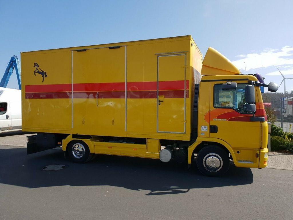 MAN TGL 10.180 Euro 4 Pferdetransporter Horse - Sunkvežimis žirgams vežti: foto 3 MAN TGL 10.180 Euro 4 Pferdetransporter Horse - Sunkvežimis žirgams vežti: foto 3