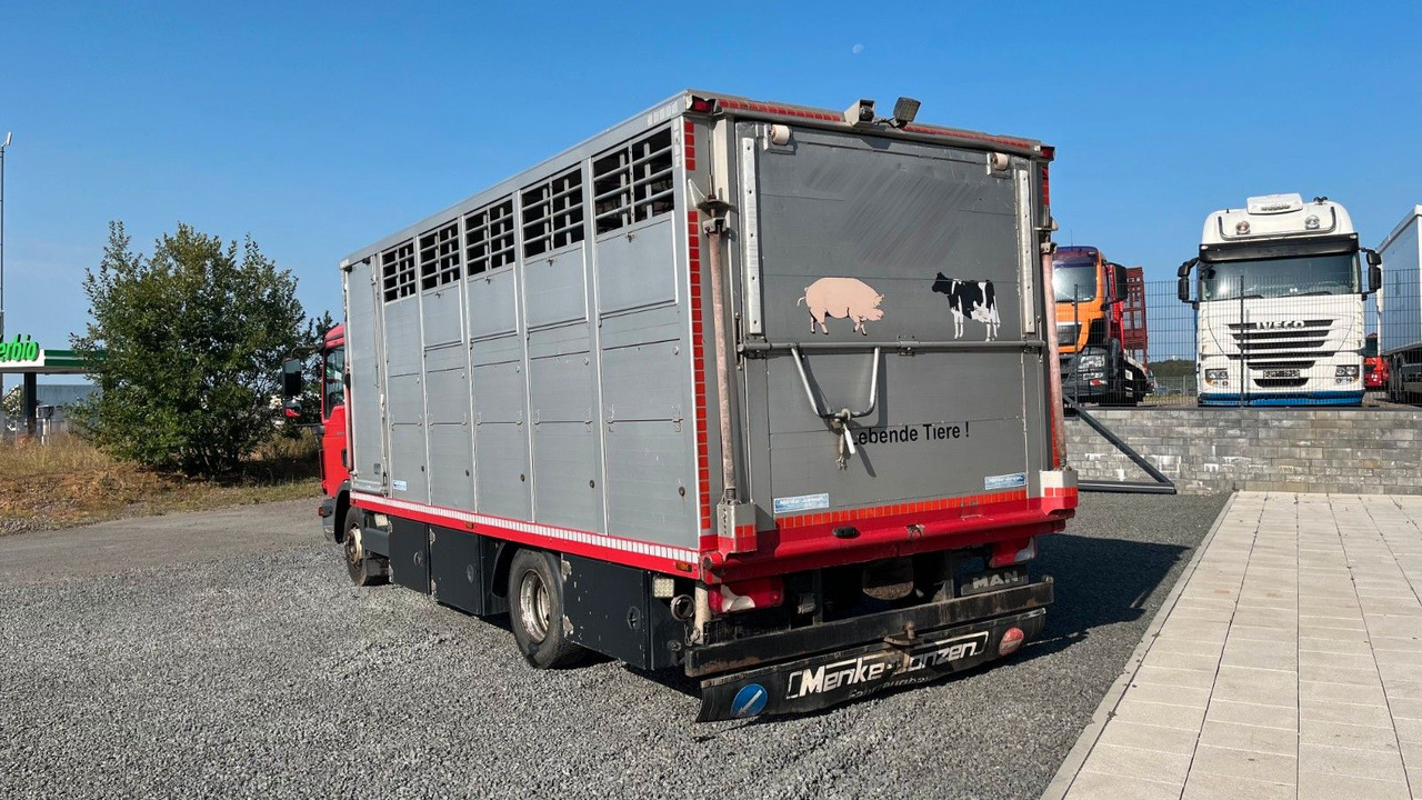MAN TGL 10.220 Viehtransporter Rampe Trennwände - Sunkvežimis žirgams vežti: foto 5 MAN TGL 10.220 Viehtransporter Rampe Trennwände - Sunkvežimis žirgams vežti: foto 5