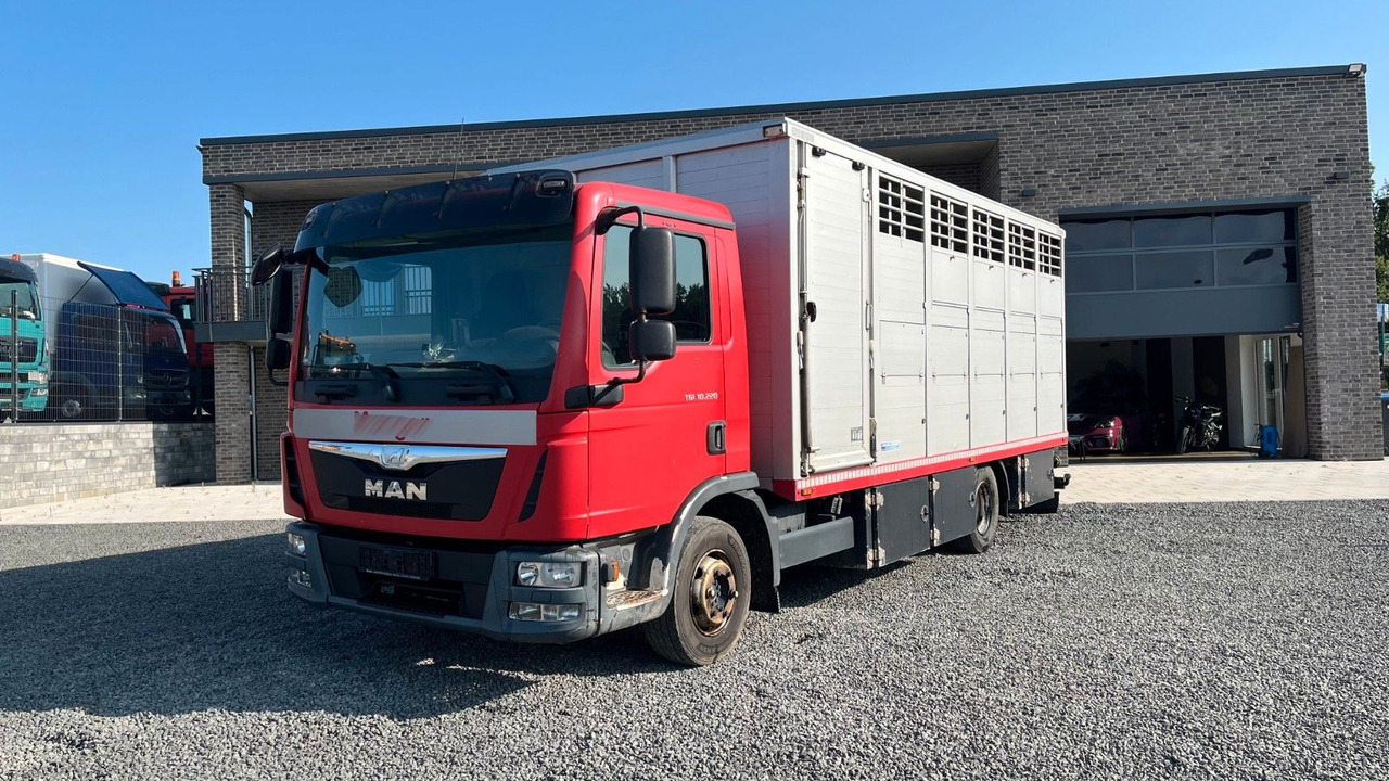 MAN TGL 10.220 Viehtransporter Rampe Trennwände - Sunkvežimis žirgams vežti: foto 2 MAN TGL 10.220 Viehtransporter Rampe Trennwände - Sunkvežimis žirgams vežti: foto 2