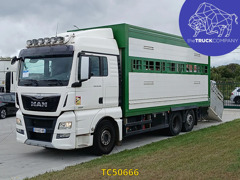 MAN TGX 460 - Gyvulių pervežimo sunkvežimis: foto 1 MAN TGX 460 - Gyvulių pervežimo sunkvežimis: foto 1