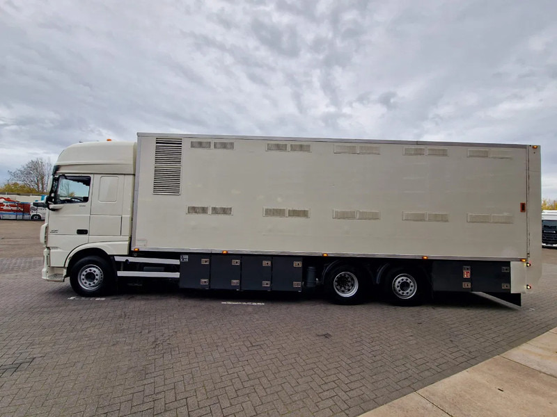 DAF XF 440 SuperSpaceCab 6x2*4 - 2 deck Closed Livestock - 40M2 - Filtersystem - Gyvulių pervežimo sunkvežimis: foto 4 DAF XF 440 SuperSpaceCab 6x2*4 - 2 deck Closed Livestock - 40M2 - Filtersystem - Gyvulių pervežimo sunkvežimis: foto 4