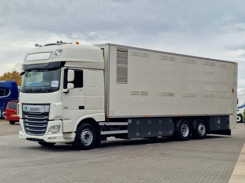 DAF XF 440 SuperSpaceCab 6x2*4 - 2 deck Closed Livestock - 40M2 - Filtersystem - Gyvulių pervežimo sunkvežimis: foto 3 DAF XF 440 SuperSpaceCab 6x2*4 - 2 deck Closed Livestock - 40M2 - Filtersystem - Gyvulių pervežimo sunkvežimis: foto 3