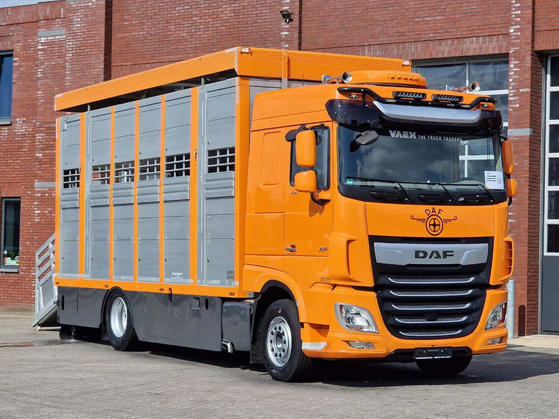 DAF XF 530 4x2 - Livestock Menke 2 deck water & ventilation - Gyvulių pervežimo sunkvežimis: foto 1 DAF XF 530 4x2 - Livestock Menke 2 deck water & ventilation - Gyvulių pervežimo sunkvežimis: foto 1