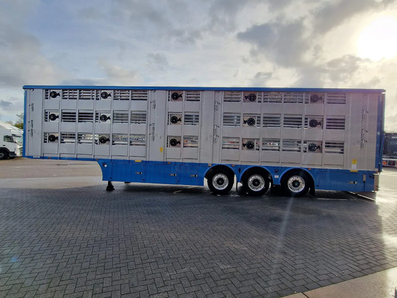 Pezzaioli New 3 stock livestock trailer 95.4M2 - Water & Ventilation - Lifting floors - Lifting roof - Lift axle - Gyvulių pervežimo puspriekabė: foto 5 Pezzaioli New 3 stock livestock trailer 95.4M2 - Water & Ventilation - Lifting floors - Lifting roof - Lift axle - Gyvulių pervežimo puspriekabė: foto 5