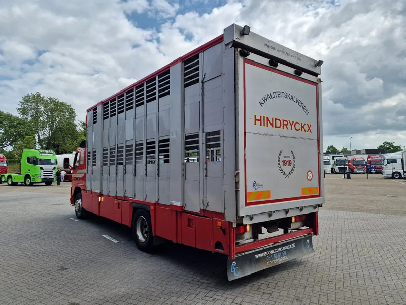 Volvo FM 250 4x- Livestock 2 deck - Lifting floors - Loadlift - Manual gearbox - Gyvulių pervežimo sunkvežimis: foto 5 Volvo FM 250 4x- Livestock 2 deck - Lifting floors - Loadlift - Manual gearbox - Gyvulių pervežimo sunkvežimis: foto 5