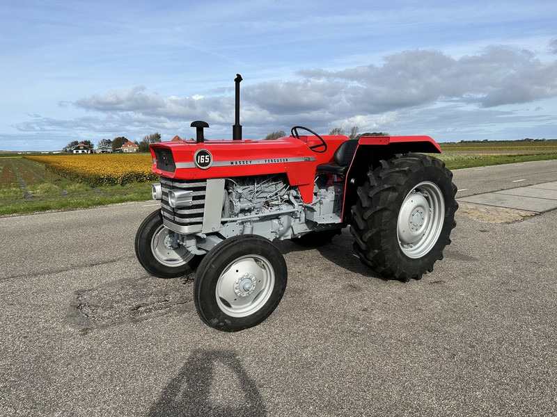 Traktorius Massey Ferguson 165: foto 1