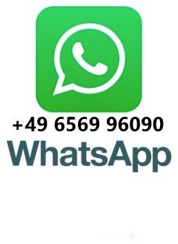 Iveco Trakker 330 EEV Winterdienst Abroll - Hook-lift sunkvežimis: foto 2 Iveco Trakker 330 EEV Winterdienst Abroll - Hook-lift sunkvežimis: foto 2