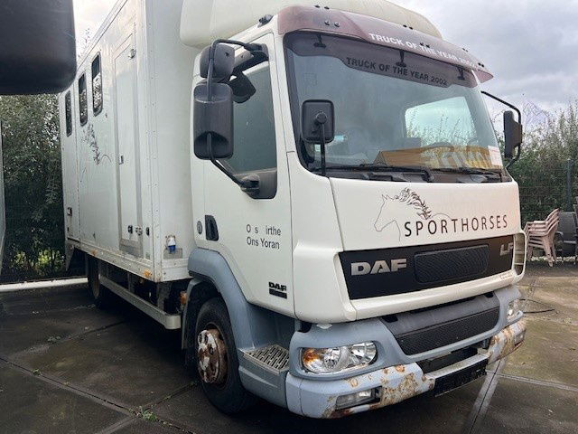 DAF LF 180 FA45.180 LF - Furgonas sunkvežimis: foto 2 DAF LF 180 FA45.180 LF - Furgonas sunkvežimis: foto 2