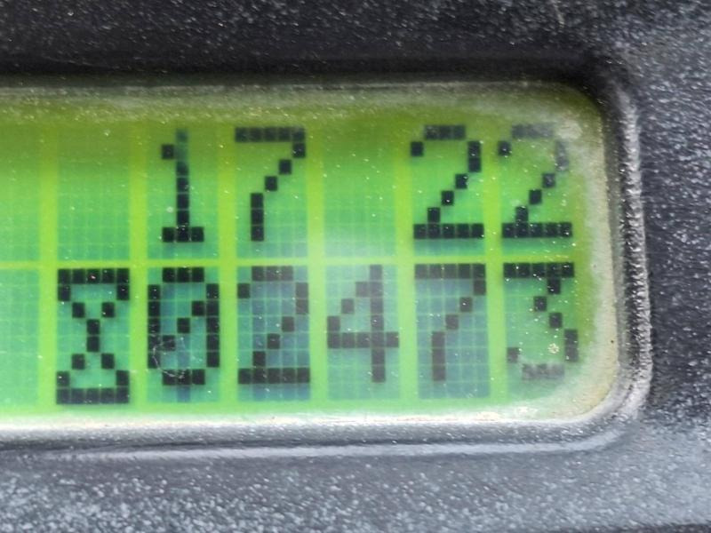 Dujinis krautuvas Yale GLP30VX: foto 15