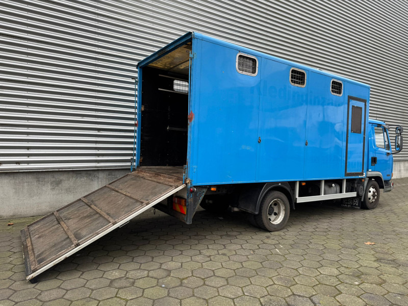 DAF LF45.130 / Horse Truck / 6 Cilinder / Manual Gearbox / Euro 2 / NL Trucks - Gyvulių pervežimo sunkvežimis: foto 3 DAF LF45.130 / Horse Truck / 6 Cilinder / Manual Gearbox / Euro 2 / NL Trucks - Gyvulių pervežimo sunkvežimis: foto 3
