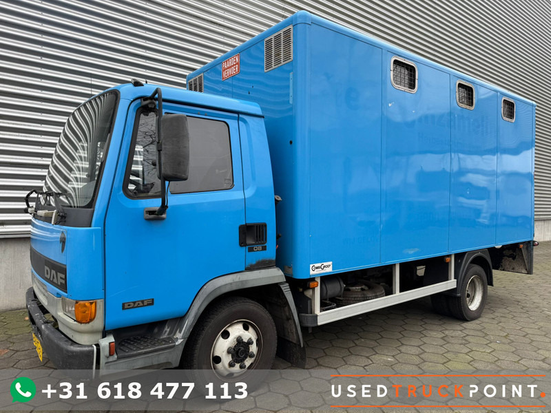 DAF LF45.130 / Horse Truck / 6 Cilinder / Manual Gearbox / Euro 2 / NL Trucks - Gyvulių pervežimo sunkvežimis: foto 1 DAF LF45.130 / Horse Truck / 6 Cilinder / Manual Gearbox / Euro 2 / NL Trucks - Gyvulių pervežimo sunkvežimis: foto 1