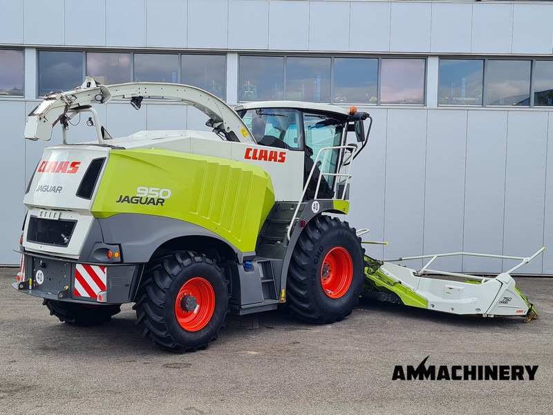 Claas Jaguar 950 4WD - Pašarų kombainas: foto 5 Claas Jaguar 950 4WD - Pašarų kombainas: foto 5