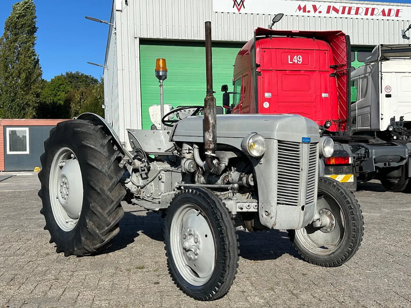 Diversen FERGUSON tractor - Traktorius: foto 2 Diversen FERGUSON tractor - Traktorius: foto 2