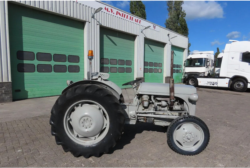 Traktorius Diversen FERGUSON tractor: foto 6