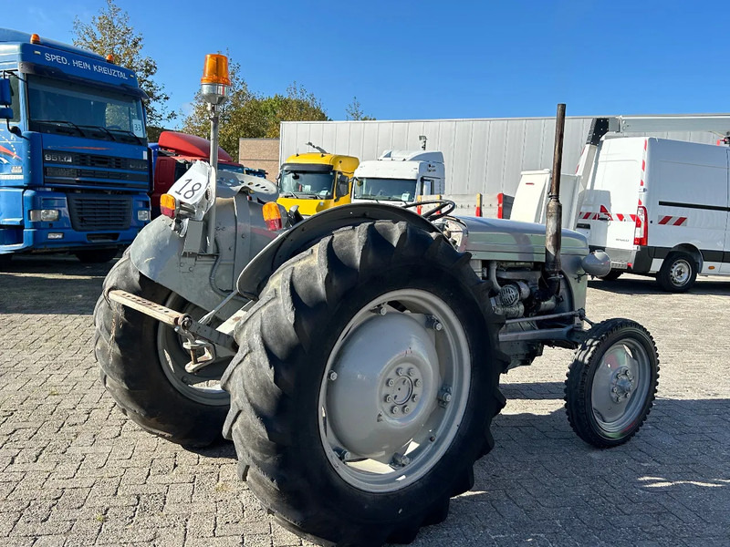 Traktorius Diversen FERGUSON tractor: foto 13