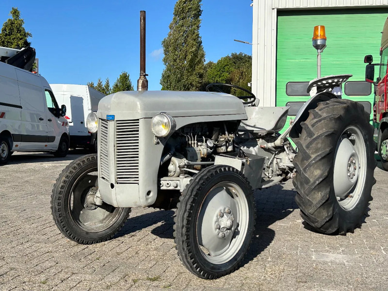 Diversen FERGUSON tractor - Traktorius: foto 3 Diversen FERGUSON tractor - Traktorius: foto 3