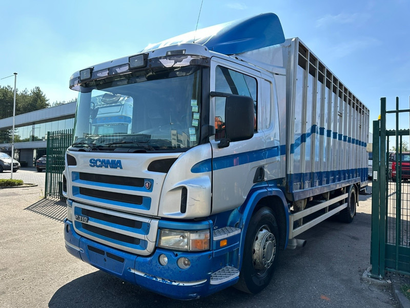 Scania P310 4x2 LIVESTOCK / VEEWAGEN / TIERTRANSPORT / BETAILLERE - ALU BOX 7m - MANUAL - A/C - BELGIAN TRUCK - Gyvulių pervežimo sunkvežimis: foto 3 Scania P310 4x2 LIVESTOCK / VEEWAGEN / TIERTRANSPORT / BETAILLERE - ALU BOX 7m - MANUAL - A/C - BELGIAN TRUCK - Gyvulių pervežimo sunkvežimis: foto 3