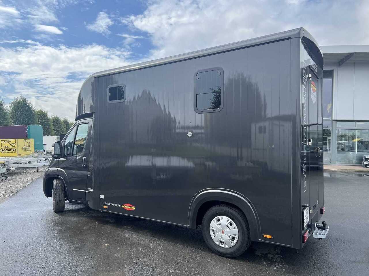 Fiat Böckmann Compact Basic LKW - Sunkvežimis žirgams vežti: foto 4 Fiat Böckmann Compact Basic LKW - Sunkvežimis žirgams vežti: foto 4
