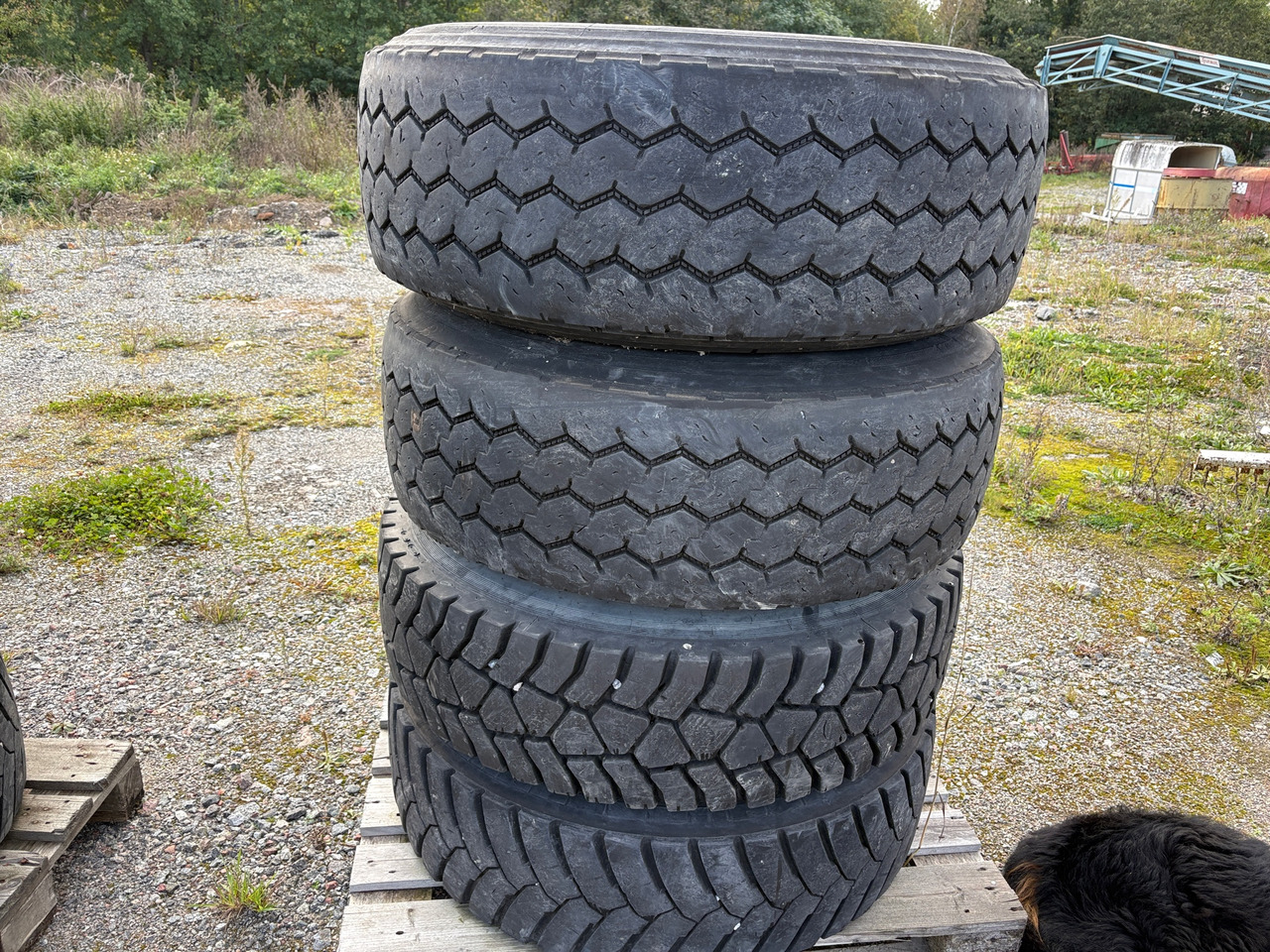 Okänt 385/65R22.5 - Padanga - Statybinė technika: foto 1 Okänt 385/65R22.5 - Padanga - Statybinė technika: foto 1