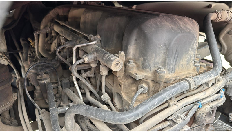 Vilkikas DAF XF 460 (BOITE MANUELLE / MANUAL GEARBOX): foto 20