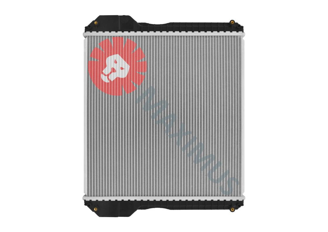 LANDINI T-TRONIC - Radiatorius - Traktorius: foto 2 LANDINI T-TRONIC - Radiatorius - Traktorius: foto 2