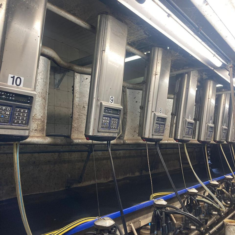 DeLaval Fischgrätenmelkstand Doppel 10er - Melžimo įranga: foto 1 DeLaval Fischgrätenmelkstand Doppel 10er - Melžimo įranga: foto 1