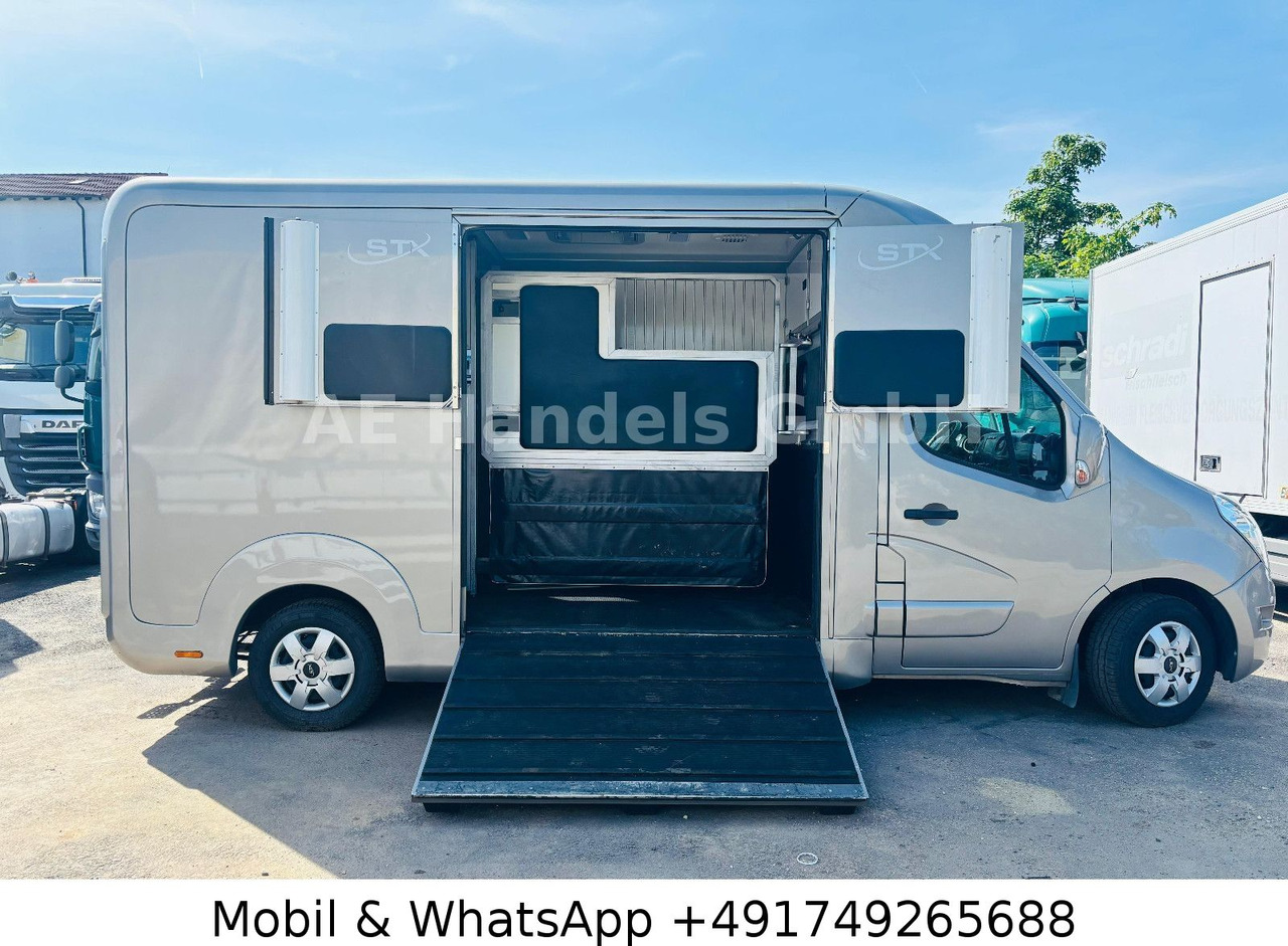 Renault Master STX Horsebox *Haras/2-Horses/3-Sitze - Priekaba žirgams vežti: foto 3 Renault Master STX Horsebox *Haras/2-Horses/3-Sitze - Priekaba žirgams vežti: foto 3