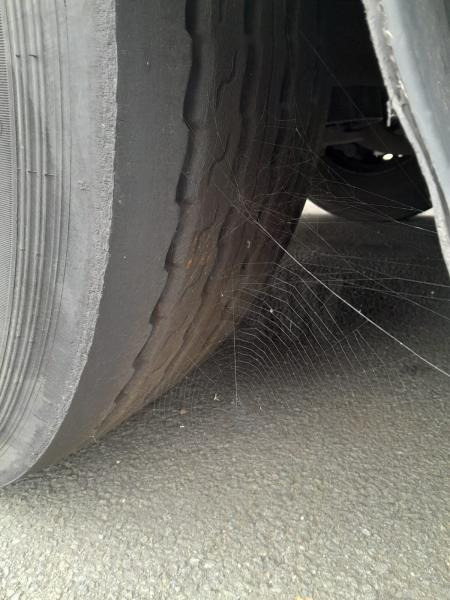 Tentinė puspriekabė Kögel SN24: foto 7 Tentinė puspriekabė Kögel SN24: foto 7