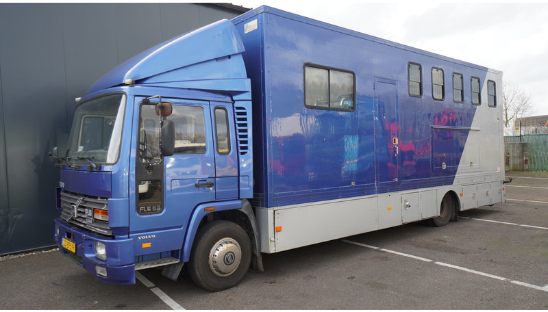 Volvo FL 6-9 HORSE TRANSPORT 341.000KM MANUAL GEARBOX - Sunkvežimis žirgams vežti: foto 3 Volvo FL 6-9 HORSE TRANSPORT 341.000KM MANUAL GEARBOX - Sunkvežimis žirgams vežti: foto 3