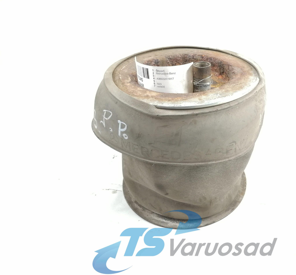 Mercedes-Benz Air suspension A9603201817 - Pneumatinė pakaba - Sunkvežimis: foto 1 Mercedes-Benz Air suspension A9603201817 - Pneumatinė pakaba - Sunkvežimis: foto 1