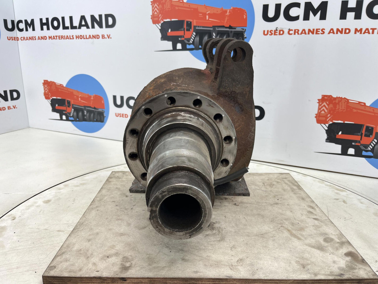 Stupica - Autokranas Grove GMK Steering knuckle 12 holes: foto 9