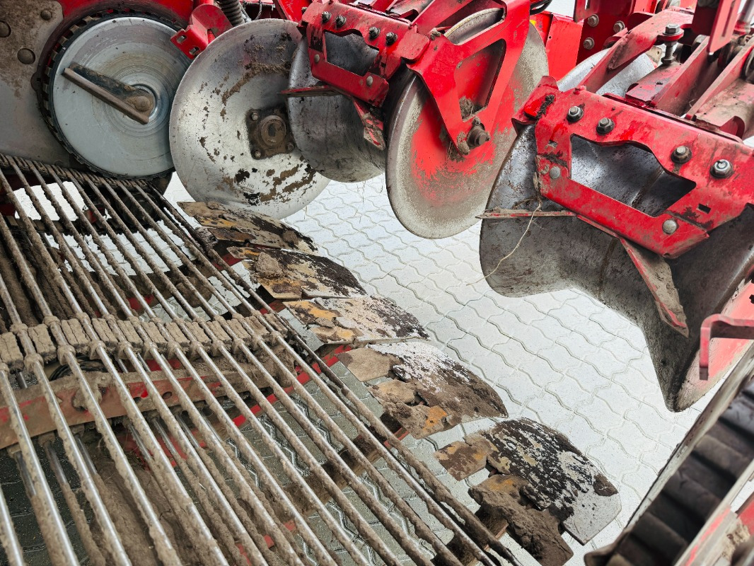 Bulvių kombainas Grimme EVO 290 AirSep: foto 13