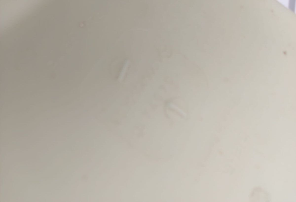 Mercedes-Benz A9062050406 Mercedes-Benz Actros Axor truck - Ventiliatorius - Sunkvežimis: foto 5 Mercedes-Benz A9062050406 Mercedes-Benz Actros Axor truck - Ventiliatorius - Sunkvežimis: foto 5