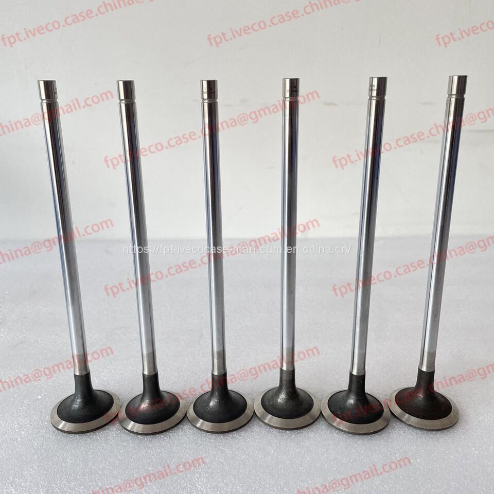 FPT IVECO CASE Cursor11 F3GFE613A B001 5801863562/5801690111 valve 5801487019 - Vožtuvas: foto 2 FPT IVECO CASE Cursor11 F3GFE613A B001 5801863562/5801690111 valve 5801487019 - Vožtuvas: foto 2