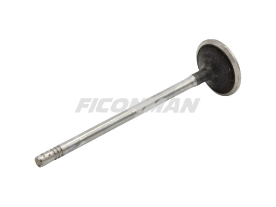 Iveco Daily Fiat Ducato F1C Intake Valve 504072531 504238926 - Vožtuvas - Komercinis automobilis: foto 1 Iveco Daily Fiat Ducato F1C Intake Valve 504072531 504238926 - Vožtuvas - Komercinis automobilis: foto 1
