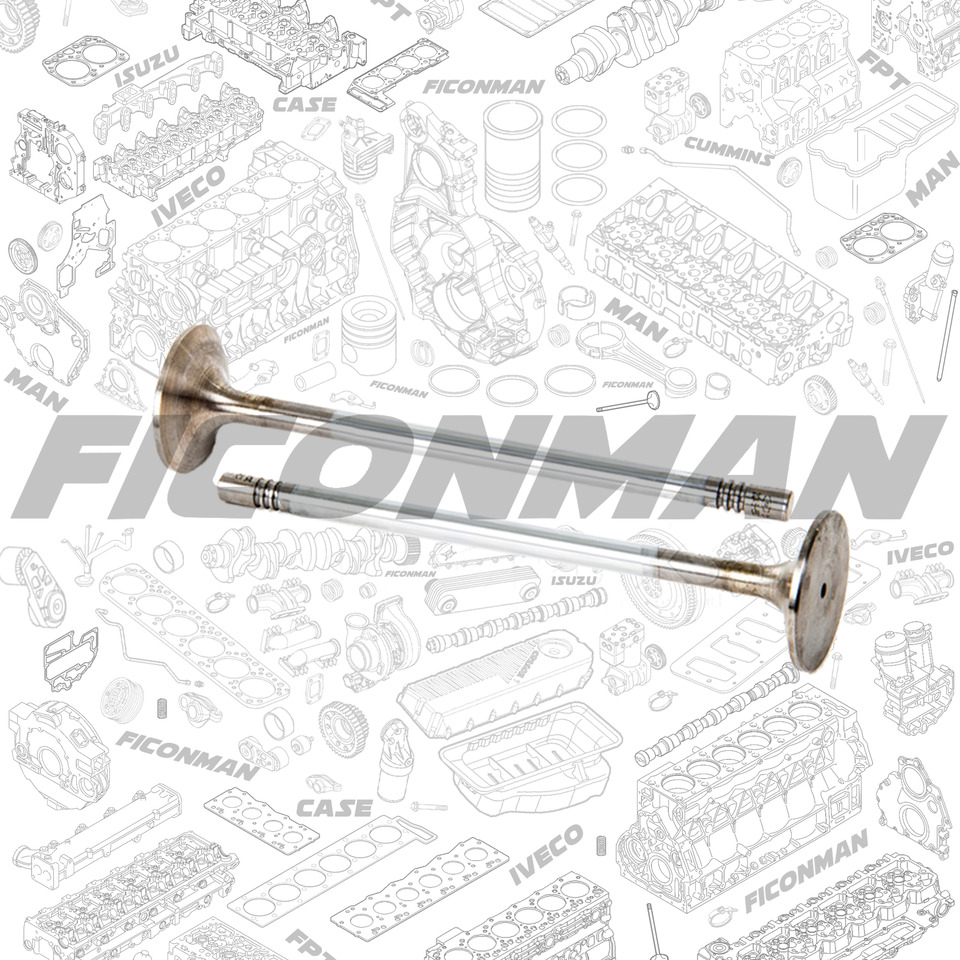 Ford Ford Trucks F-MAX ECOTORQ 9L Intake Valve 2C466507-CA ,T162806, 2C466507CA - Vožtuvas - Sunkvežimis: foto 1 Ford Ford Trucks F-MAX ECOTORQ 9L Intake Valve 2C466507-CA ,T162806, 2C466507CA - Vožtuvas - Sunkvežimis: foto 1