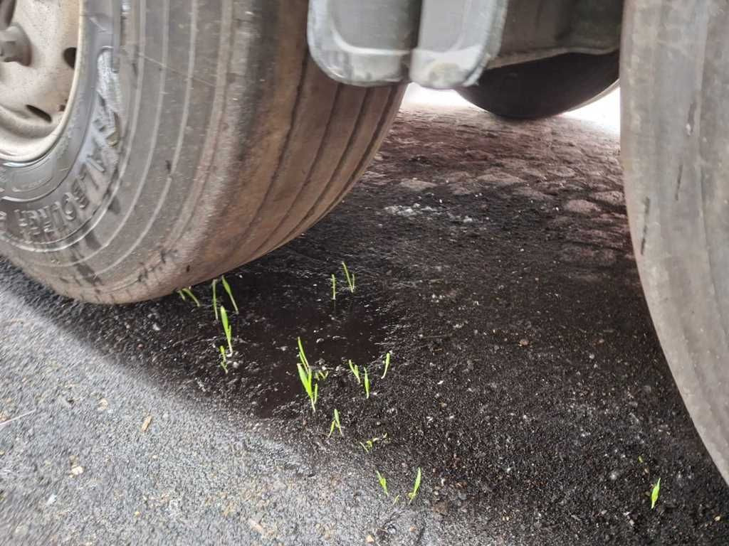 Su slankiojanciomis grindimis puspriekabė PEISCHL 3S 35 A, SAF: foto 9
